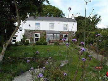 Vine Cottage B&B Devizes Esterno foto